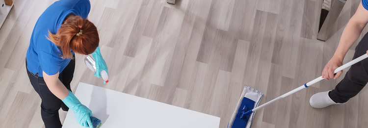 Cleaning Services